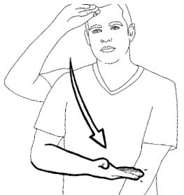 <p>Touch your forehead with your flattened hand, palm facing down, then bring it down to touch the crook of your other arm</p>