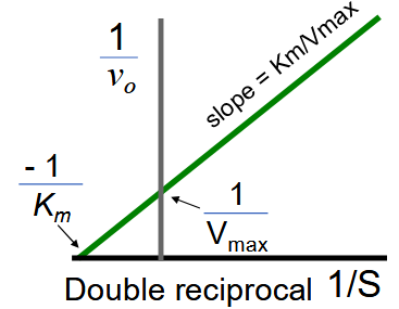 <p>Lineweaver-Burk (Double Reciprocal) Plot</p>