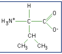 <p>What macromolecule is this?</p>