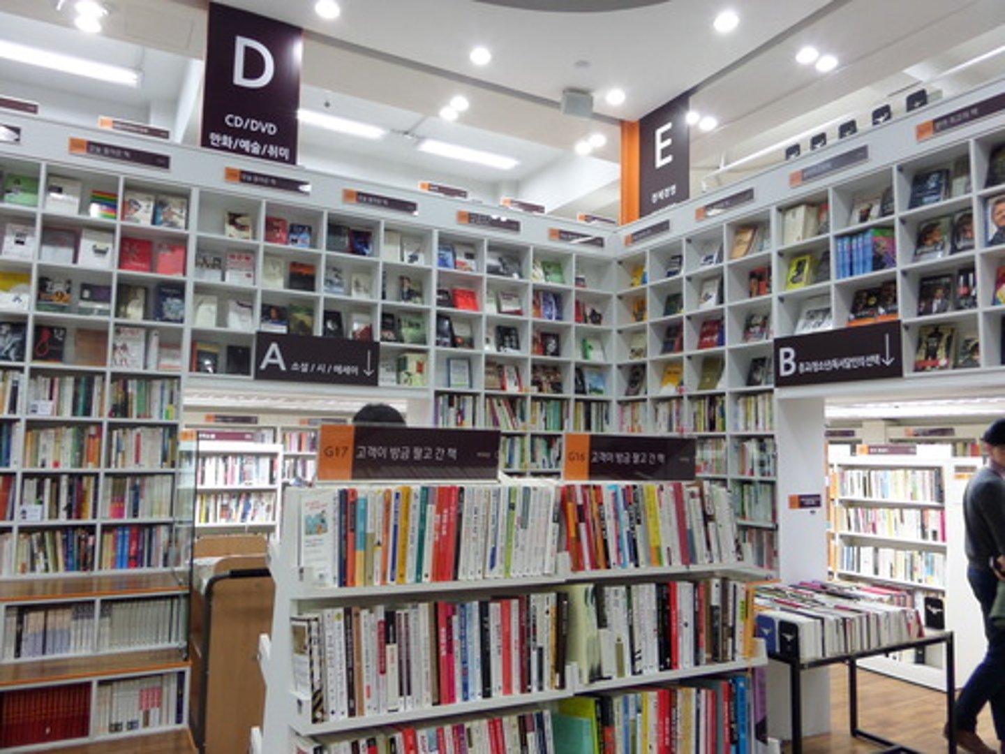 <p>la librairie</p>