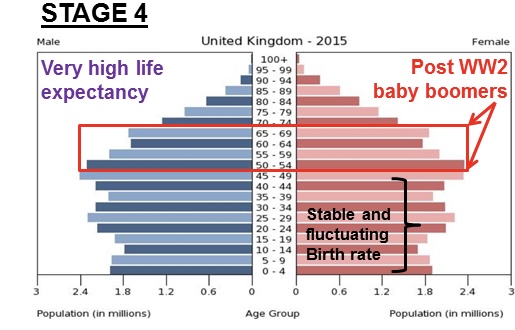 <ul><li><p>typically the stationary population pyramid and indicates a population that is not significantly growing or shrinking</p></li><li><p>steady/low birth rate</p></li><li><p>low death rate -&gt; high life expectancy</p></li><li><p>EX: United States, China</p></li></ul>