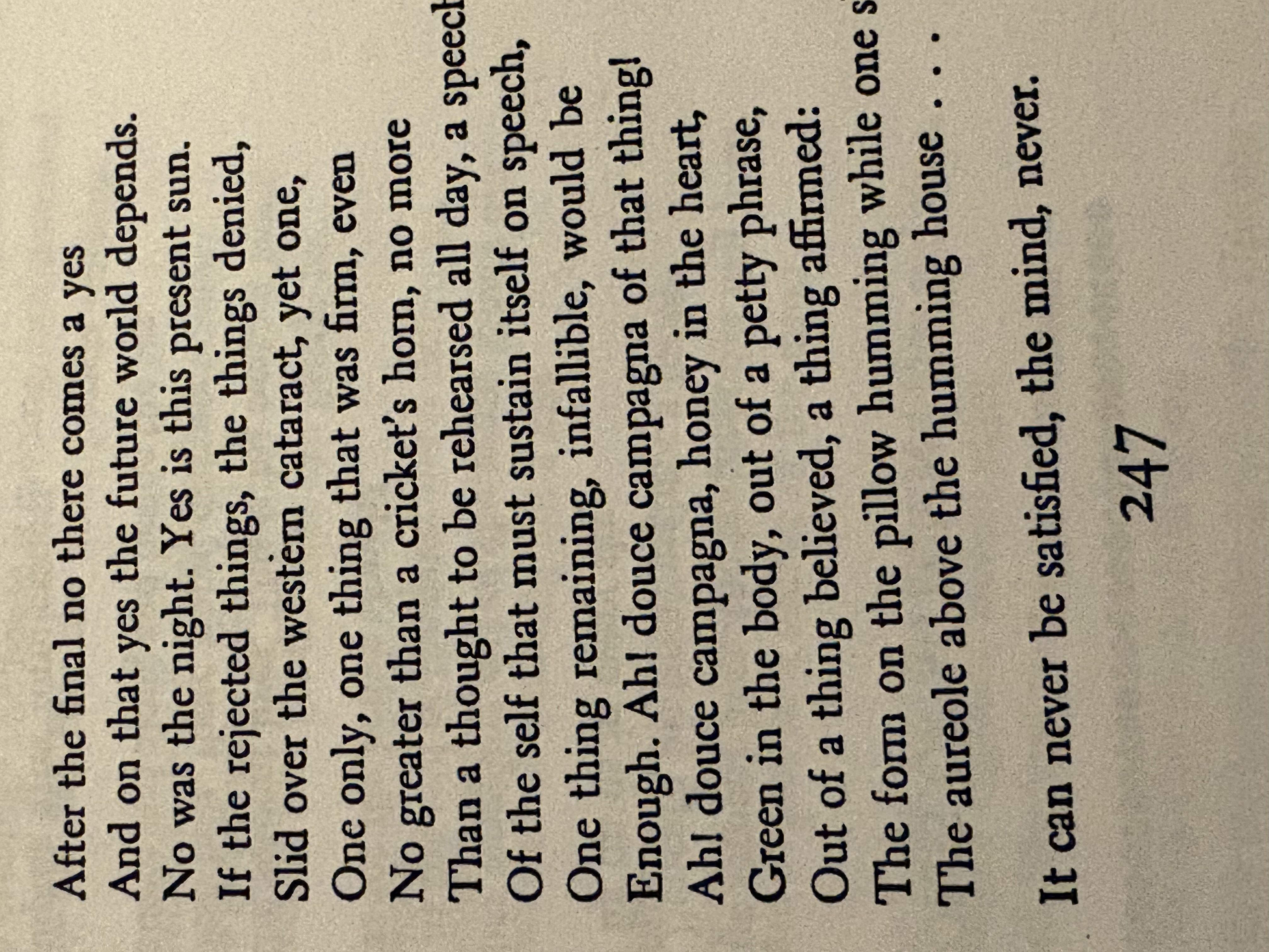 <p>The well dressed man with a beard</p>