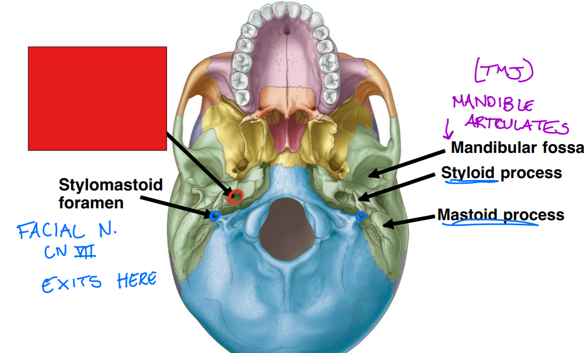 <p>Fill in the red box: </p>