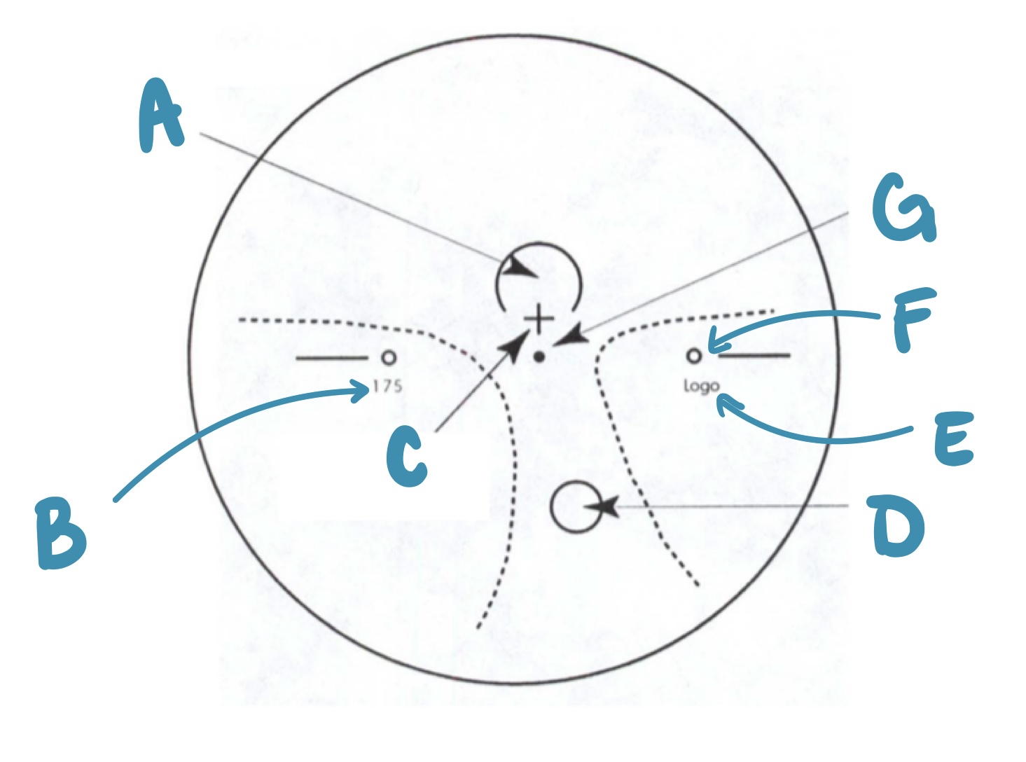 <p>F</p>