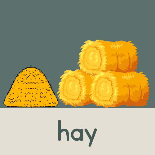 <p>hay</p>