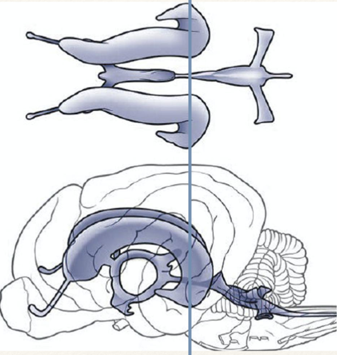 <p>what is the line passing through?</p>