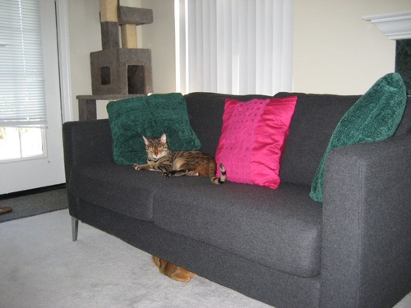 <p>couch; sofa</p>