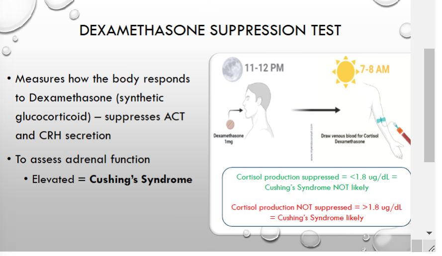 <p>dexamethasone assess adrenal function, if elevated, greater than 1.8 then cushings dx is likely</p><p>Dexamethasone is a synthetic corticosteroid that mimics cortisol. Under normal circumstances, the body uses a negative feedback mechanism to control cortisol production. The hypothalamus releases corticotropin-releasing hormone (CRH), which signals the pituitary gland to produce adrenocorticotropic hormone (ACTH), stimulating the adrenal glands to release cortisol. When cortisol levels are high, this feedback loop should reduce CRH and ACTH, thereby lowering cortisol production.</p><p>Dexamethasone Suppression Test:</p><p>In a normal person:</p><p>If dexamethasone is given, it mimics cortisol and causes a decrease in CRH and ACTH production.</p><p>This leads to a reduction in the body's own cortisol production.</p>