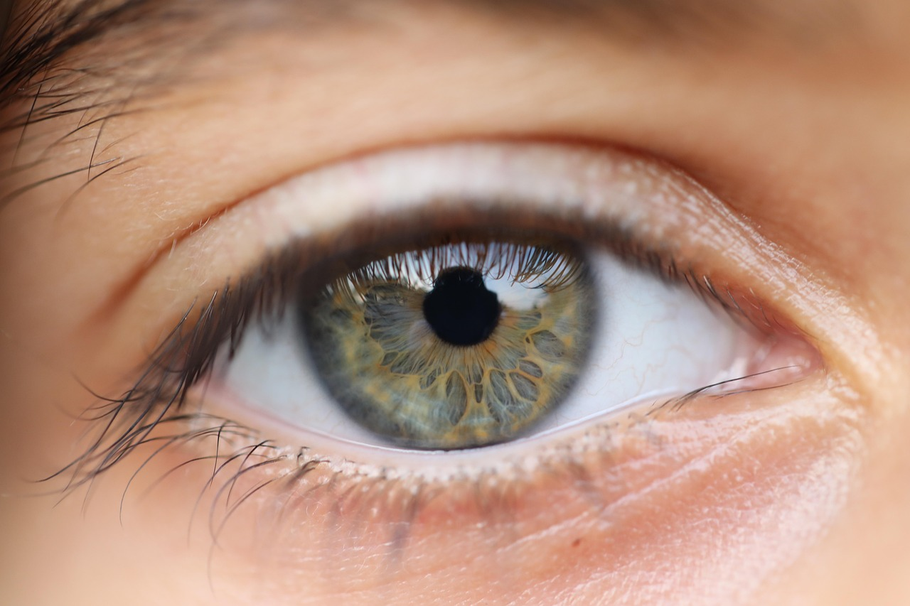 <p>Sight</p>