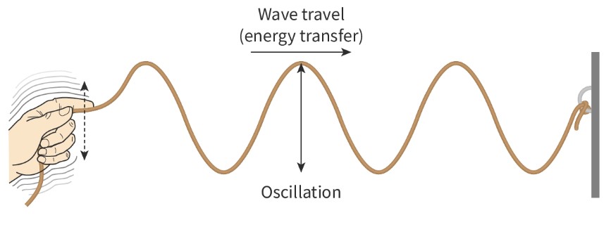 <p>A wave whose particles oscillate at right angles to the direction of energy transfer. Crest of a transverse wave is at the top and the trough is the lowest point.</p>