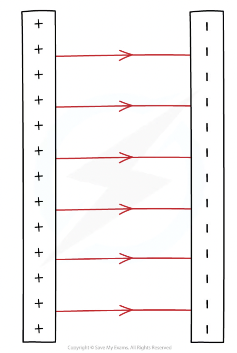 <ul><li><p>The electric field between two parallel plates is a&nbsp;<strong>uniform electric field</strong></p></li><li><p>The field lines are:</p><ul><li><p>directed from the&nbsp;<strong>positive</strong>&nbsp;to the <strong>negative</strong>&nbsp;plate</p></li><li><p>parallel</p></li><li><p>straight lines</p></li></ul></li></ul><p></p>