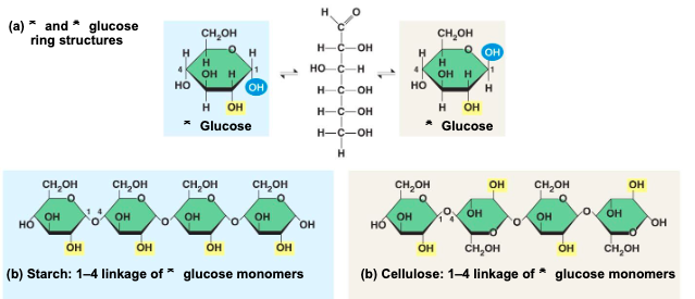 <p>the difference of structural polysaccharides is based on </p>