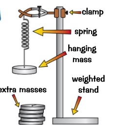 1- measure the length of the spring when no load is applied 

ensure the ruler is vertical and measure the spring at eye level

2- add one mass at a time and allow the spring to come to rest then measure the new length of the spring. 

the extension is the change in length from the original length 

3- repeat the process until enough measurement 

4- plot graph 