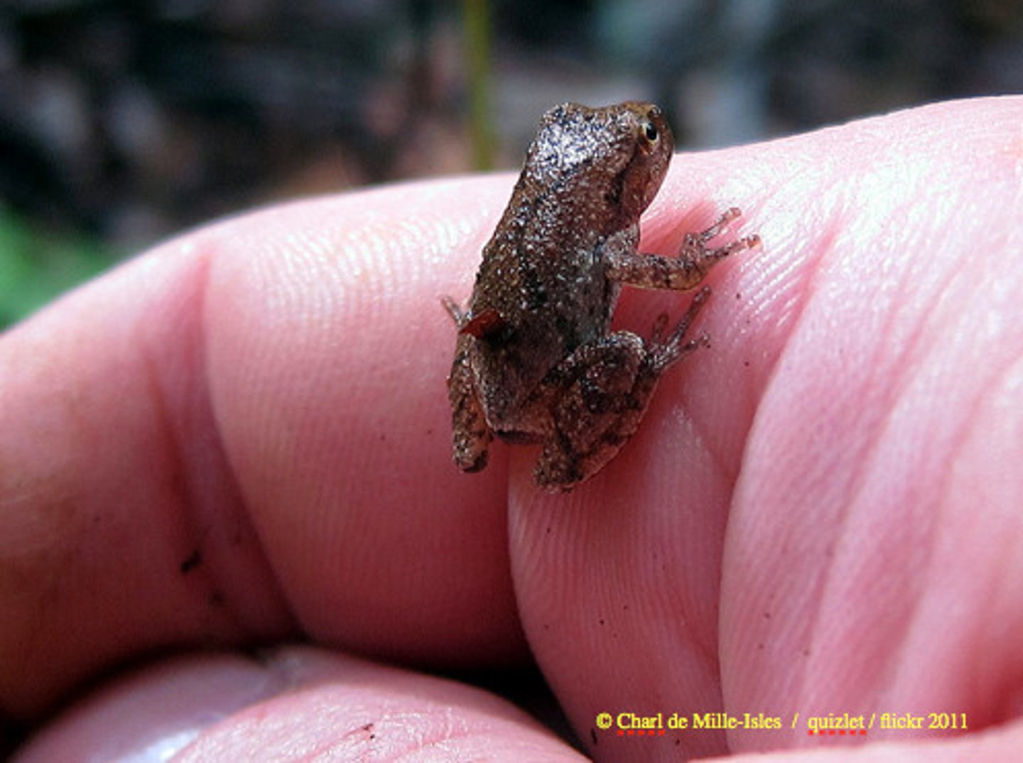 <p>small</p>