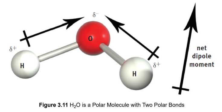 <p>a molecule with polar bonds that do not cancel each other out, causing a net dipole moment</p>