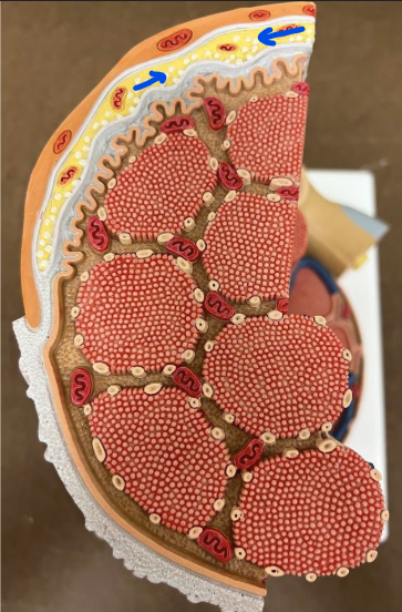 <p>What is this?</p>