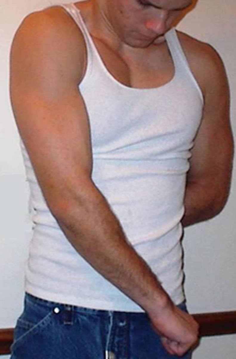 <p>shoulder extension, adduction, shoulder IR</p>