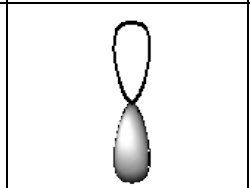 <p>dumbbell shaped </p>