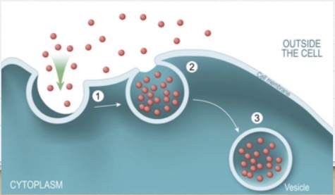 <p>What is this?</p>