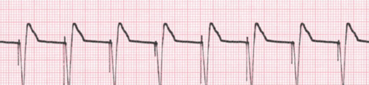 <p>What are the findings</p>