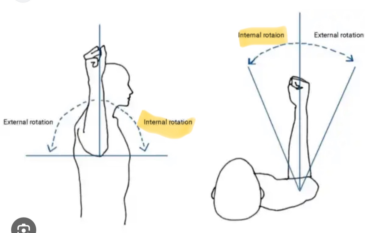 <p>Transverse plane, vertical axis</p>