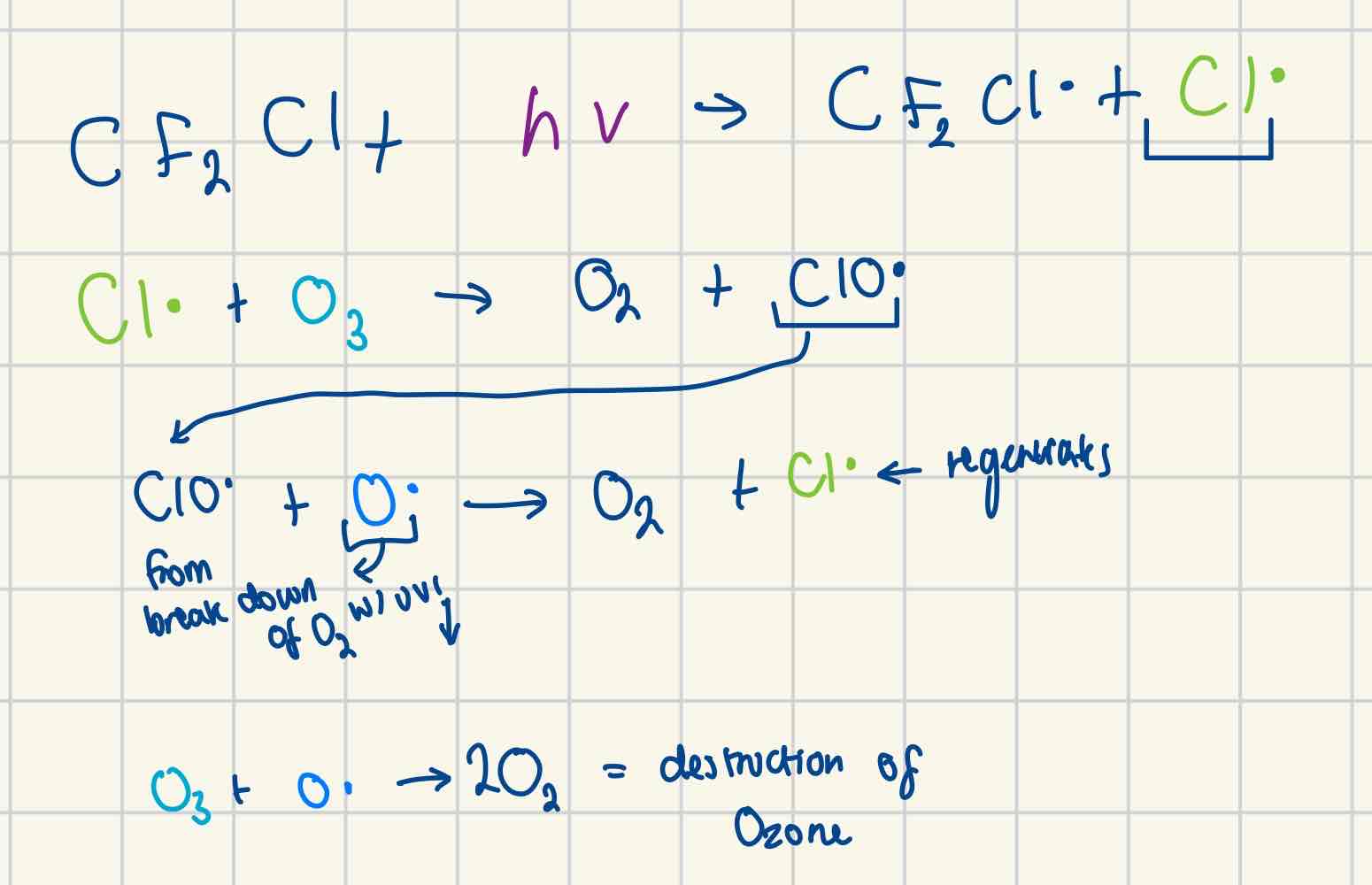 <p>Formed because when CFCs travel up they absorb UV = split chlorine = free radicals → catalyse & ozone destruction</p><p>One Cl*= 10000 O3 destroyed</p>