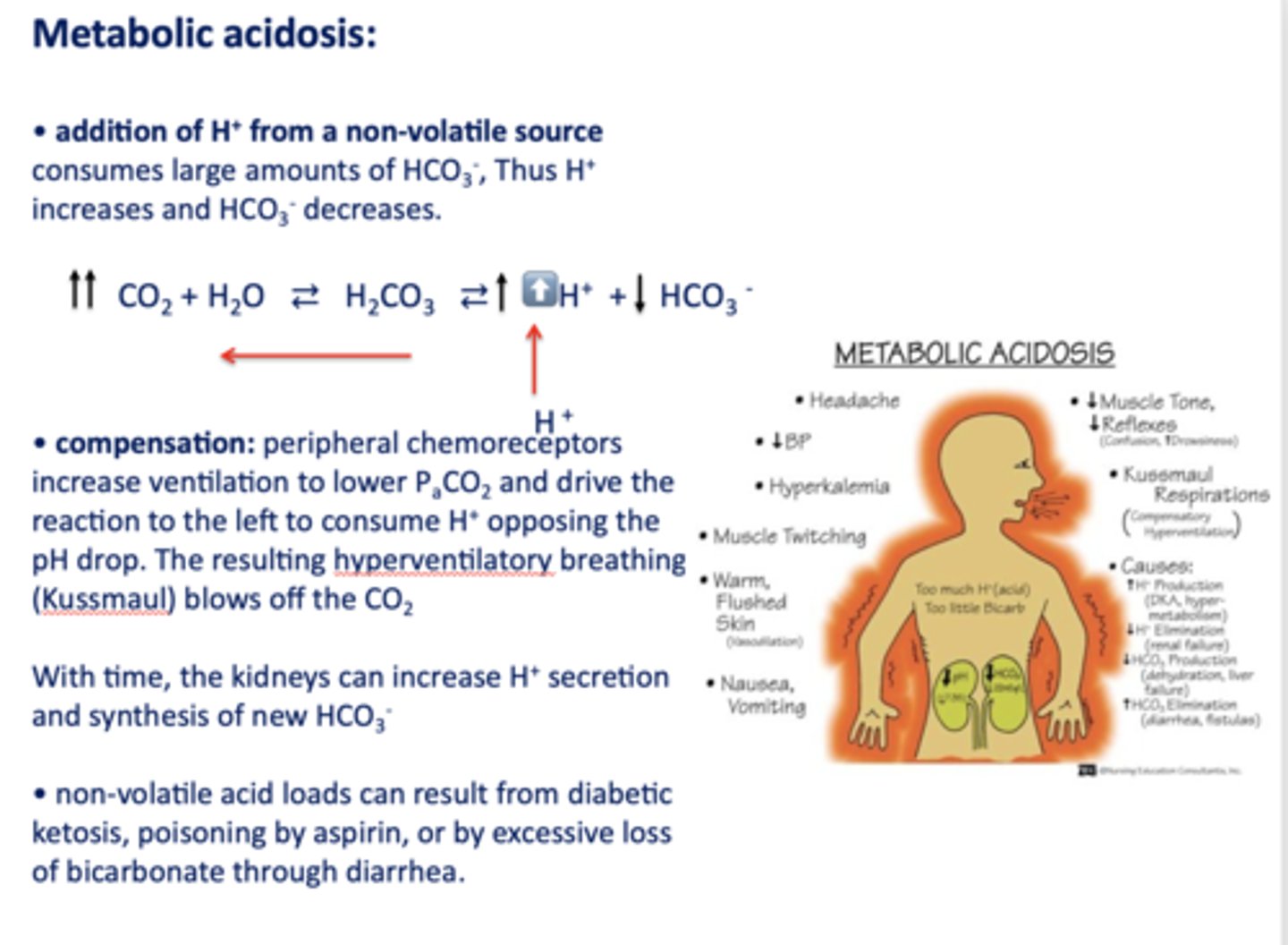 <p>metabolic acidosis</p>