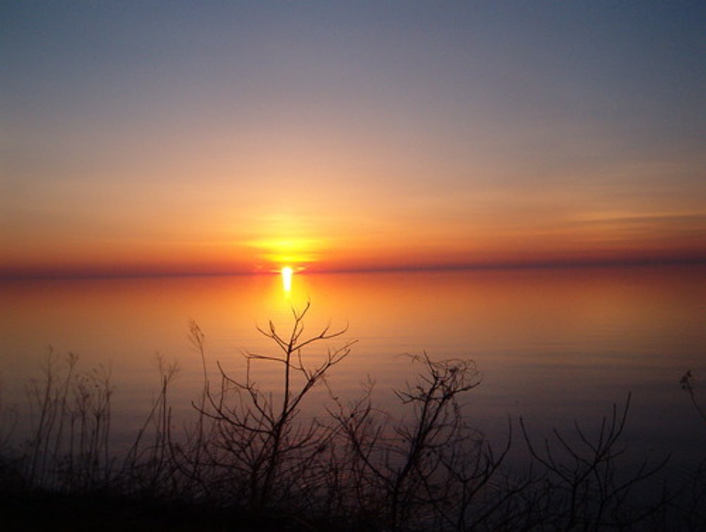 <p>calm or peace</p>