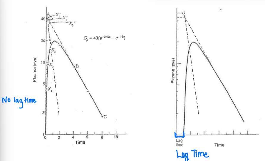 <p>What are the factors that contribute to the lag time after oral drug administration and how do you identify lag time?</p>