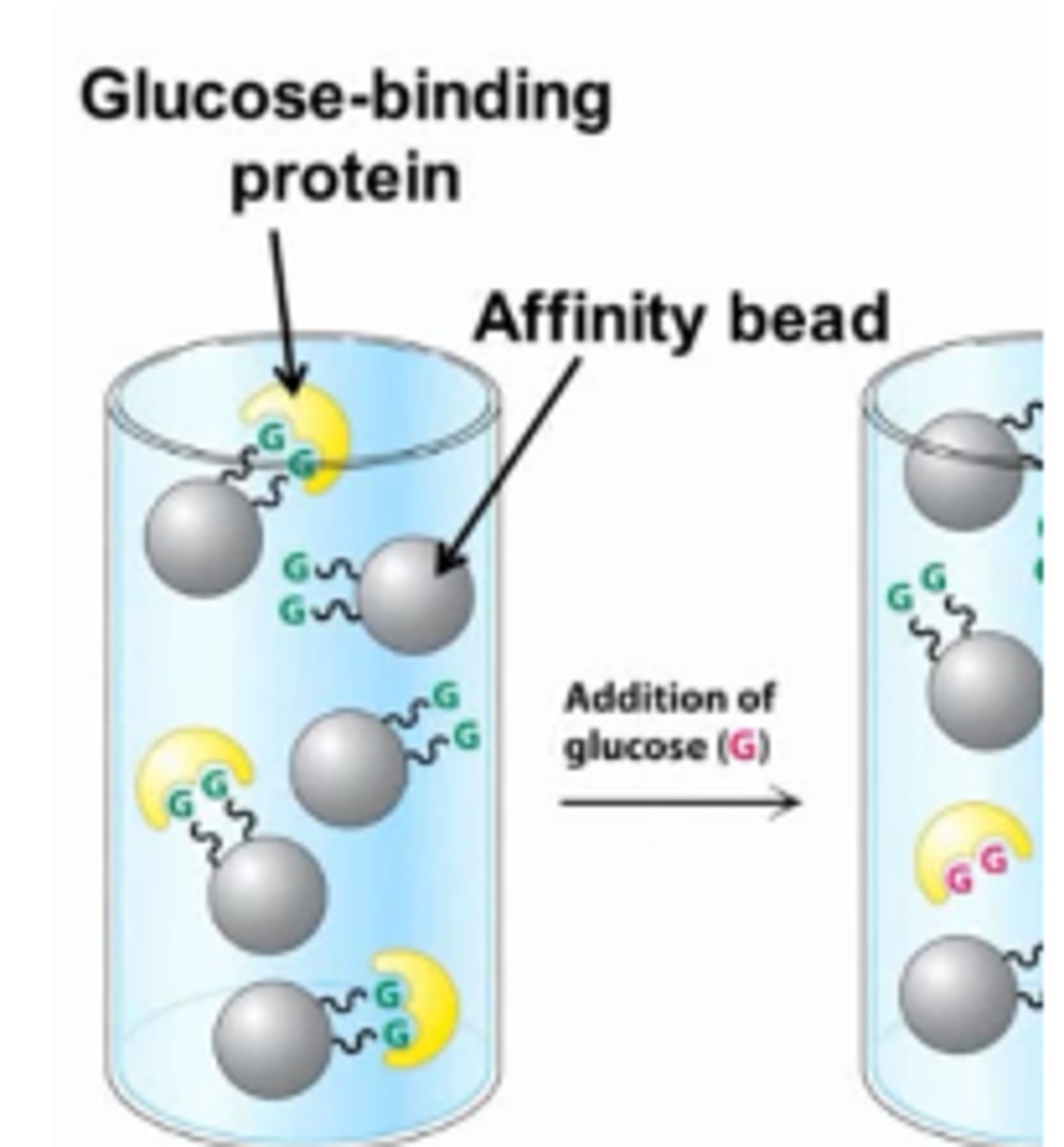 <p>-uses specific interactions to slow down select molecules</p><p>-can make use of receptor-ligand, enzyme-substrate, and antigen-antibody interactions</p><p>example: beads with glucose attract glucose-binding protein, proteins attach to beads</p><p>glucose is then added into cylinder, releasing glucose binding proteins</p>