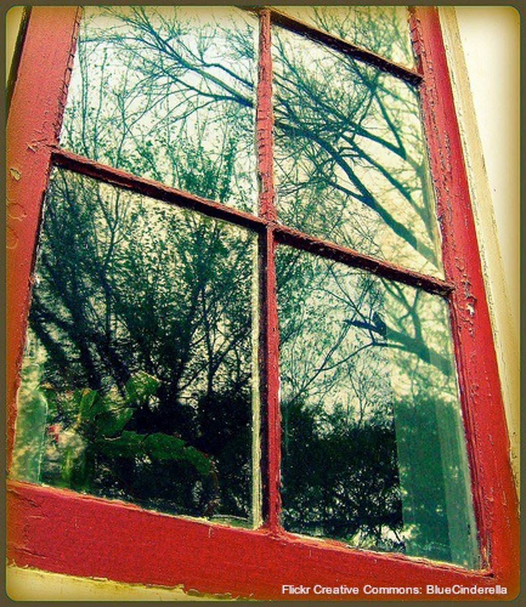 <p>hoja de cristal</p>
