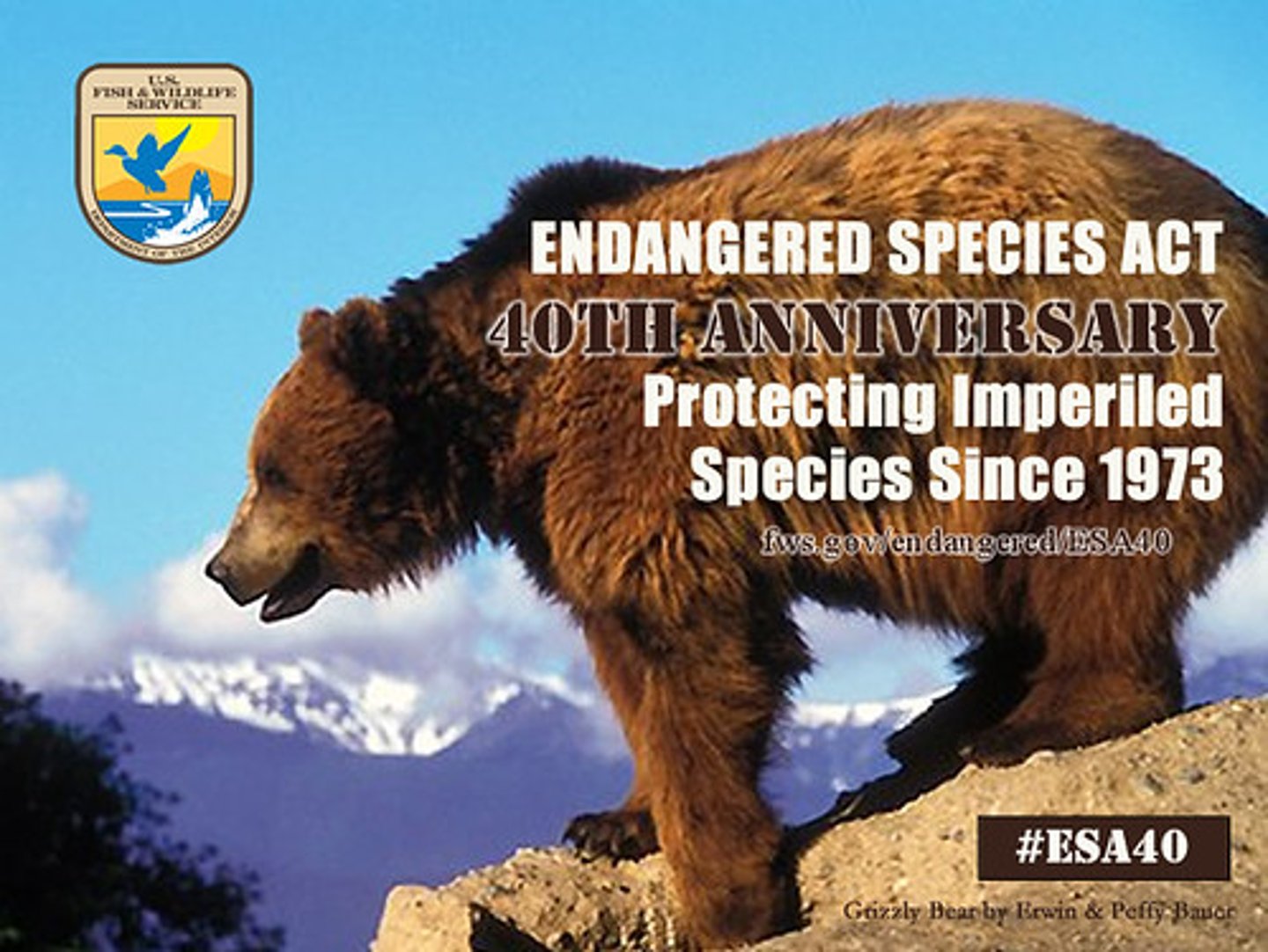 <p>authorizes U.S. Fish and Wildlife Service to protect endangered and threatened species</p>