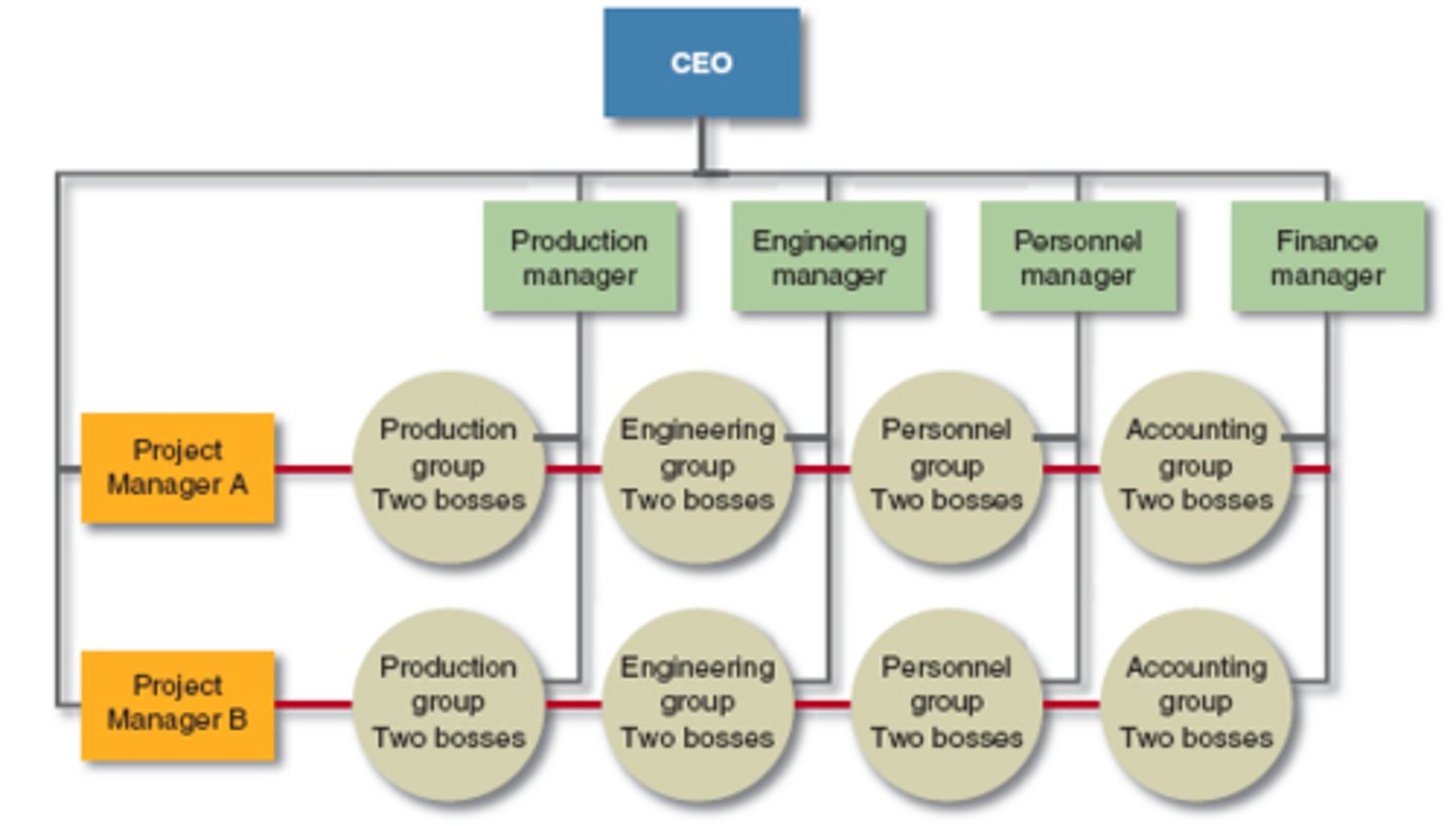 <p>Dual reporting relationships in which an employee reports to two superiors</p>