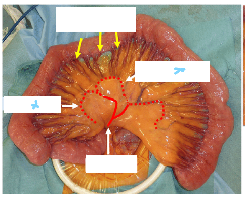 <p>What does X refer to</p>