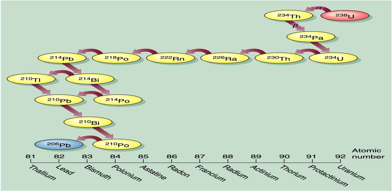 <ul><li><p>unstable isotopes breakdown in various ways</p></li><li><p>e.g., losing protons and neutrons </p></li><li><p>produces daughter products with different atomic numbers</p></li></ul><p></p>
