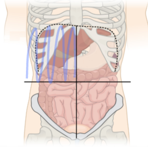 <p>what region is the shaded region?</p>