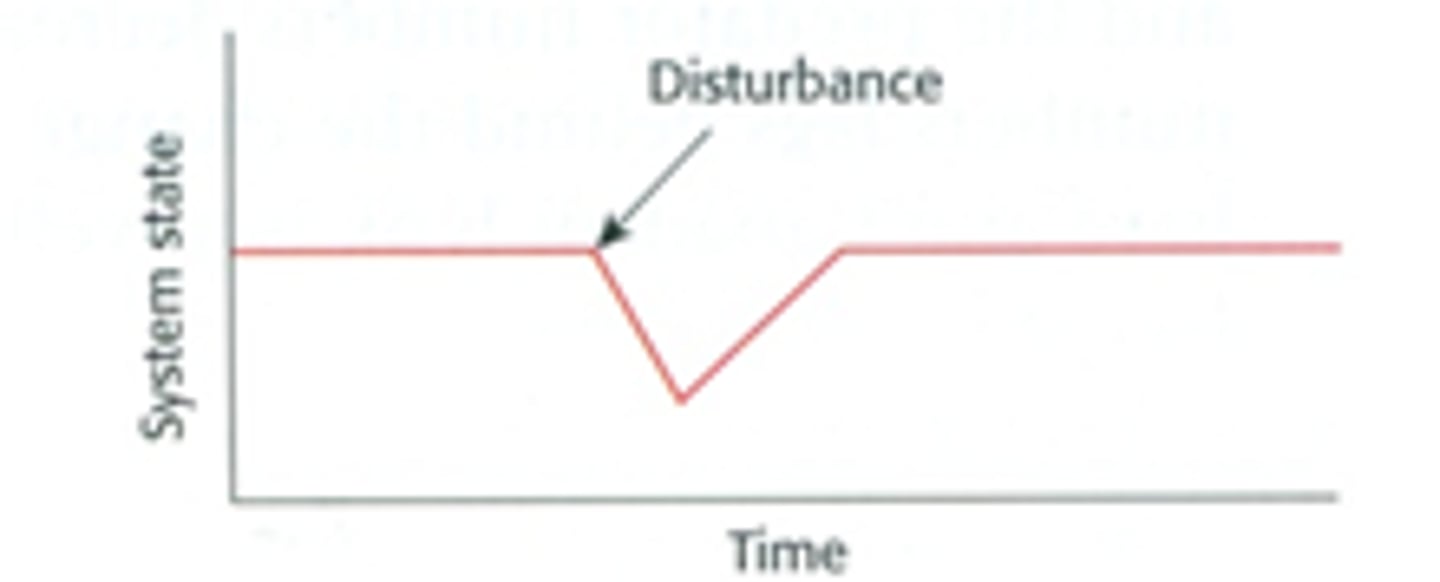 <p>The tendency in a system for it to return to a previous equilibrium condition following disturbance.</p>