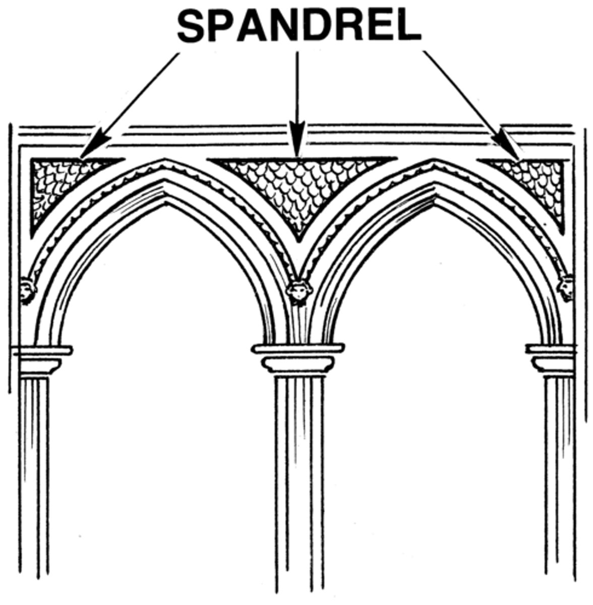 <p>the roughly triangular space enclosed by the curves of adjacent arches and a horizontal member connecting their vertexes</p>