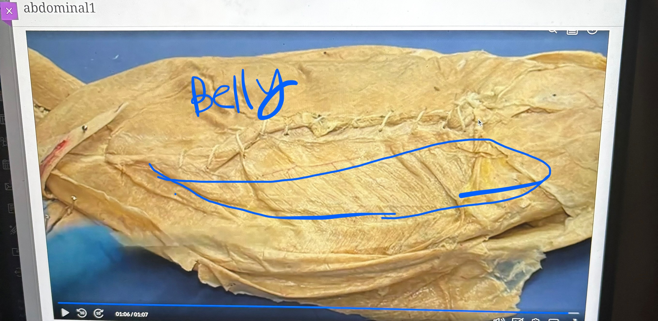 knowt flashcard image