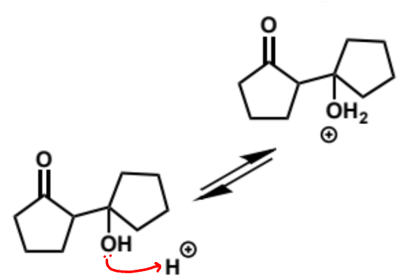 <p>makes OH into a viable leaving group</p>