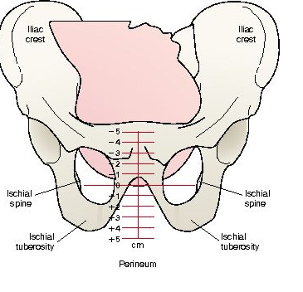 <p>-5 to +5</p>