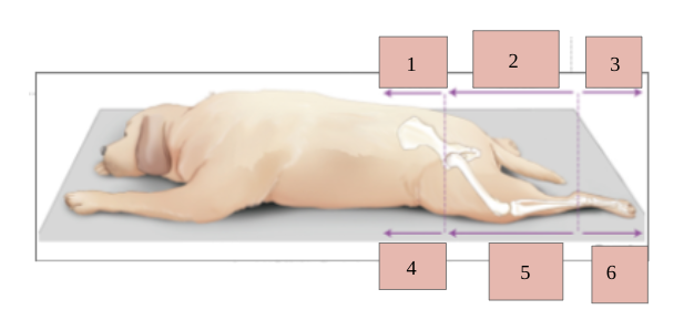 <p>2</p>