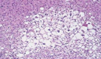 <p>identify</p>