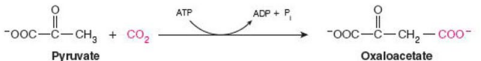 <p>Give Reaction Type and Class</p>