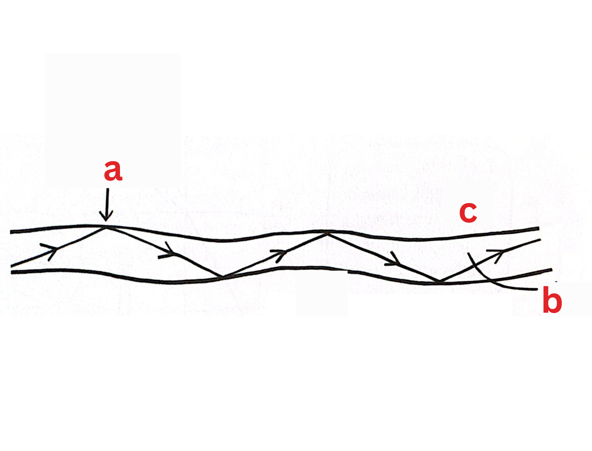 <p><span style="color: rgb(0, 0, 0);"><span>Label This Diagram</span></span></p><p><span style="color: rgb(0, 0, 0);"><em><span>The Optical Fibre Cable</span></em></span></p>