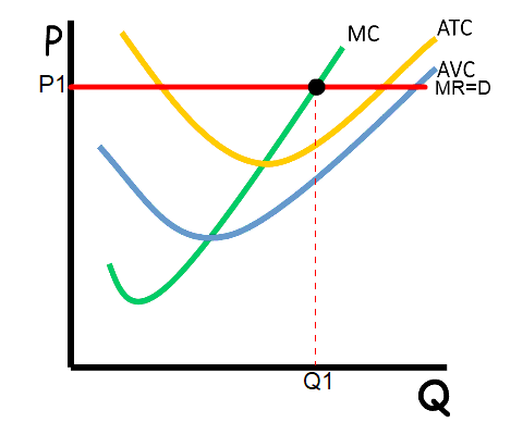 <p>the line equals MC = MR = D = P = AR</p>