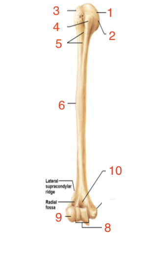 <p>what is #8</p>