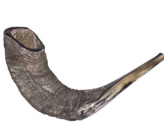 Musevilik'de Roşaşana ve Yom Kipur bayramlarında çalınan koç veya keçi boynuzundan yapılmış bir boru. Tokea adı verilen ve bu iş için özel eğitim almış kişiler tarafından özel bir nota ile çalınır.