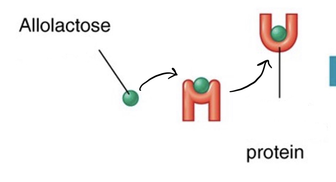 <p>This - has become -</p>