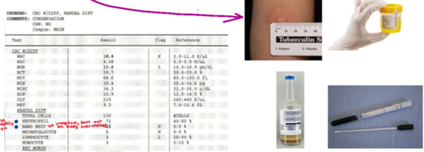 <p>2nd step: intervention</p><p>- pt &amp; s&amp;s dependant</p><p>- consider empiric tx</p><p>- acquire more information (eg. culture (eg. CSF collection aka spinal tap), CBC &amp; differential; antibody analysis (eg.antibody titre) if difficult to analyze or culture (e.g. TB))</p>